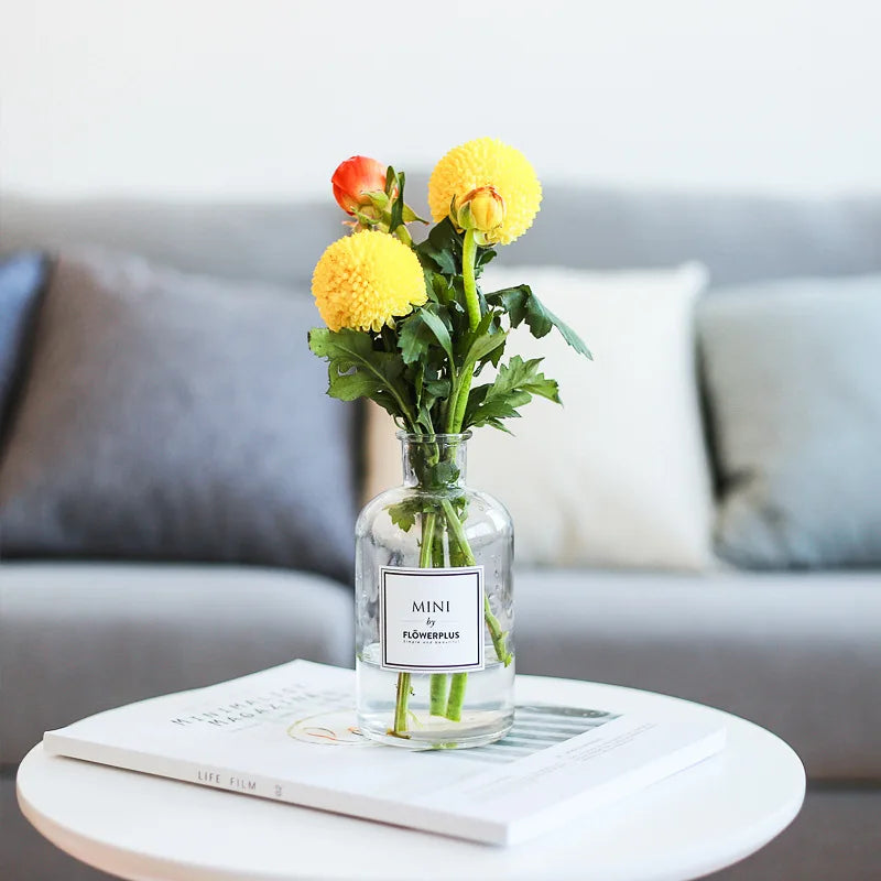 Nordic Style Tabletop Vase - Sleek Home Decor