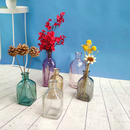 Colorful Glass Vase - Sleek Home Decor